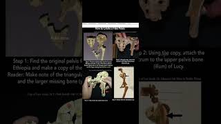 “Lucy” The Fall Of An ApeMan Icon science bible jesus history [upl. by Troy]