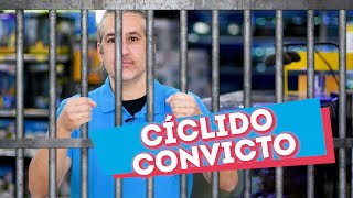 CÍCLIDOS para PRINCIPIANTES · Pez convicto [upl. by Iah6]