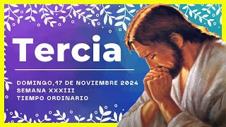 🌼HORA TERCIA DE HOY 17 de Noviembre de 2024  Oración de media mañana🙏 [upl. by Mayer]