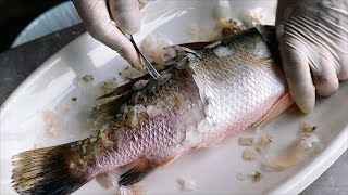 Thai Street Food  DEEP FRIED SEA BASS Bangkok Seafood Thailand [upl. by Ondrea170]