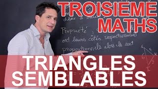 Triangles semblables  Maths  3e  Les Bons Profs [upl. by Novert]