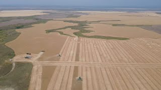 Day 13 84  Highwood Montana Harvest [upl. by Teodor825]