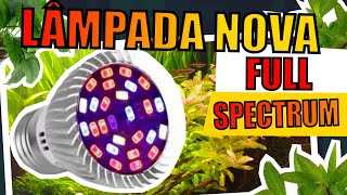 🔴COLOQUEI LÂMPADAS NOVAS NOS MEUS AQUÁRIOS PLANTADOS Mr Betta [upl. by Krawczyk]