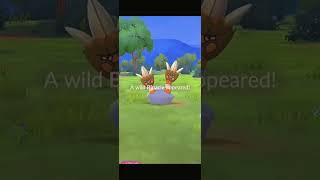 Uncover Binacle Spotlight Hour Secrets  Pokémon GO Ultimate Guide [upl. by Esiahc]