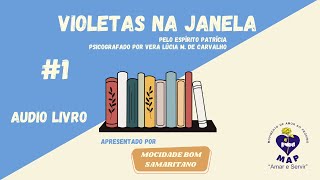 Áudio livro  Violetas na janela  Capítulo 1 [upl. by Aelanej]