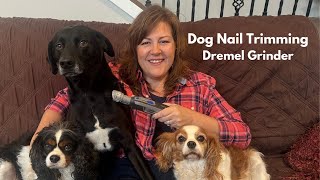 Dog Nail Trim at Home With A Dremel Grinder Tips For Success [upl. by Wahl]