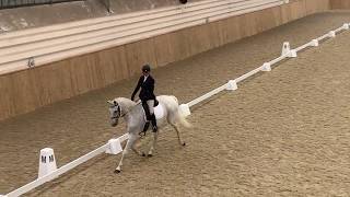 Novice 23 Dressage 2020 [upl. by Annmaria]