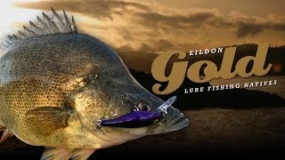 Eildon Gold  Lake Eildon Fishing Golden Perch on Lures [upl. by Laroy]