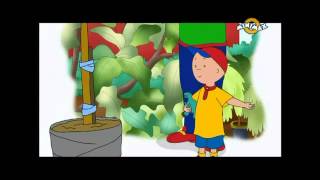 Caillou sorozat  Caillou fája [upl. by Ronda]