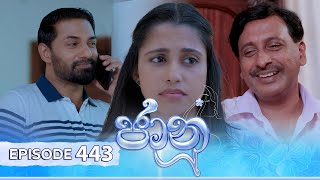 Jaanu  Episode 443  20241105  ITN [upl. by Mientao]