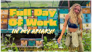 Im EXPANDING My Apiary Treatment free thoughts  Beekeeping 101 beekeeping beekeeper [upl. by Hernandez]