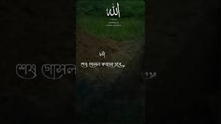 koborerajabkotokothin banglaislamicsong duetlove8ballpool newmusicanswer unfreezmyaccoun [upl. by Creighton988]