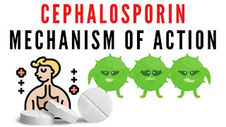 Cephalosporin explained  classification mechanism of action [upl. by Keverne]