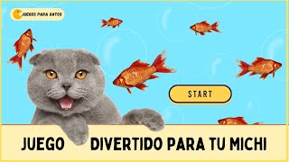 Juegos para gatos de peces 🐬🐬🐬 Tu gato lo amara ❤️ video de juego para gato  Peces para gatos [upl. by Paradies949]