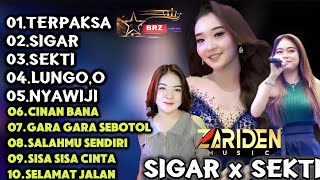 SEKTI DIFARINA INDRA  ZARIDEN MUSIC TERBARU 2024 [upl. by Annaigroeg]