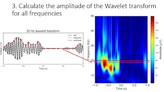 Filtering neural signals and processing oscillation amplitude [upl. by Lleunamme650]