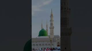 Tu shahe khooban naat short islam youtubeshorts islamicshort viral [upl. by Negem398]