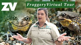 Tour the Healesville Sanctuary Froggery and meet the Southern Giant Burrowing Frog [upl. by Deach]