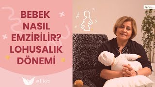 Bebek Nasıl Emzirilir  Lohusalık Dönemi  Elika Hamile [upl. by Yrtsed642]