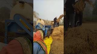 New Holland 50paddy harvestingaggriculture shortvideo [upl. by Raul591]