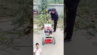 Wood chipper for small parts and even animal feed shortsvideo chipper animals feed [upl. by Hctub]