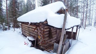 Snowstorm and wolves Im hiding in a log cabin off grid living [upl. by Anceline]