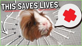 Guinea Pig First Aid Kit and Complete Home Care Guide [upl. by Atrice341]