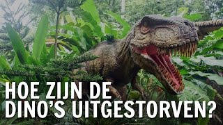 Hoe zijn dinos uitgestorven  De Buitendienst over dinosaurus [upl. by Hobbie589]