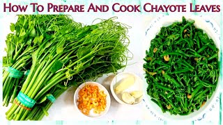 How To Prepare And Cook Chayote Leaves  Stir Fry Chayote Leaves  Elisa Paguirigan [upl. by Mini897]