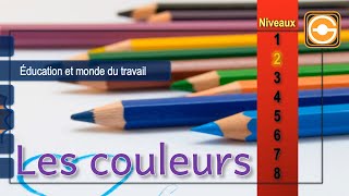 FLE  Francisation niveau 2  Les couleurs [upl. by Perren]