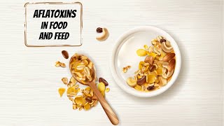 Aflatoxins in Food and Feed [upl. by Adnilahs]