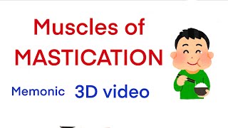 Muscles of Mastication Memonic 3D video  Easy to remember [upl. by Xet338]