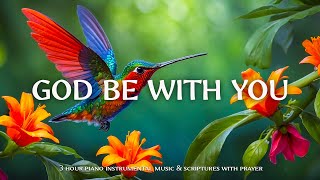 God Be With You  Instrumental Worship and Scriptures with Birds 🕊 Christian Instrumental [upl. by Omik]