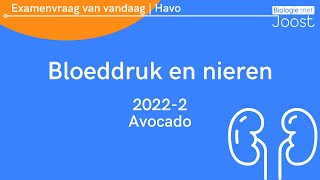 7 Examenvraag van vandaag  Havo  20222 Avocado [upl. by Sweyn163]