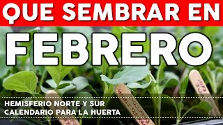 Calendario de Siembra 2022 Qué sembrar en Febrero en el Huerto de Invierno y de Verano [upl. by Eimaj]