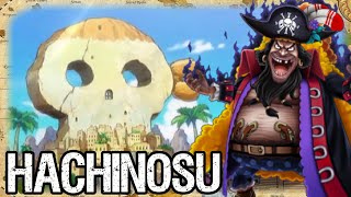 HACHINOSU ISLAND Geography Is Everything  One Piece Discussion  Tekking101 [upl. by Renrut32]