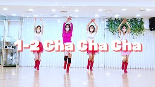 12 Cha Cha Cha Line DanceRia Vos 초급 라인댄스 Beginner Level [upl. by Aihsei]