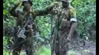 SriLankan Forces capture Tamil Tiger Terrorist camps in north eastern [upl. by Esnohpla930]