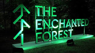 The Enchanted Forest 2022 show Together in Faskally Wood near Pitlochry Scotland [upl. by Enneyehs]