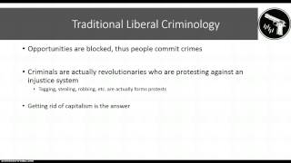 Critical Criminology [upl. by Latin299]