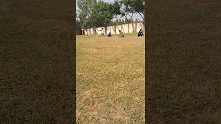 kho kho game Practice video 2 [upl. by Hafeetal960]