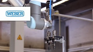 Schraubtechnik mit Werkzeugwechselsystem PickampPlace SEVP WEBER [upl. by Elbas]