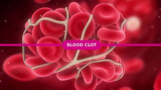 Coagulation Cascade Explained [upl. by Raffaello]