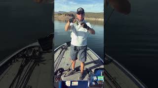 Roosevelt Lake Fishing Tips [upl. by Hebert]