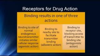 Psychopharmacology amp Pharmacodynamics [upl. by Foss]