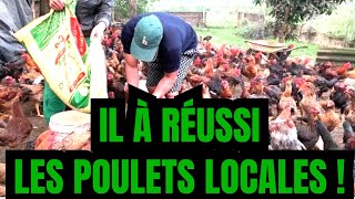 RÉUSSIR LÉLEVAGE DES POULET LOCAUX VOICI 7 ÉTAPES MAJEURS 🐔 [upl. by Nordin]