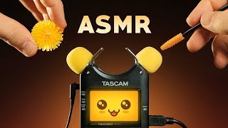 ASMR KAWAII TASCAM TINGLES  Mic Test Trigger Cuteness [upl. by Osrick533]