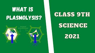 WHAT IS PLASMOLYSIS  CELL  SIMPLEST WAY TO LEARN  NCERT  BIOSCIFY [upl. by Ploss]