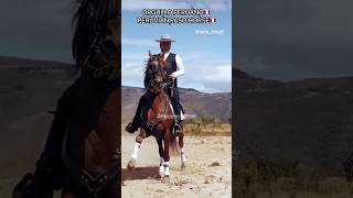 CABALLO PERUANO DE PASO 🇵🇪 Cultura Peruana historia El CABALLO mas HERMOSO MARINERA VALS PERUANO [upl. by Cherilynn]