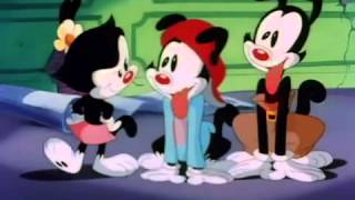 Animaniacs  Hola Enfermera [upl. by Alanson973]